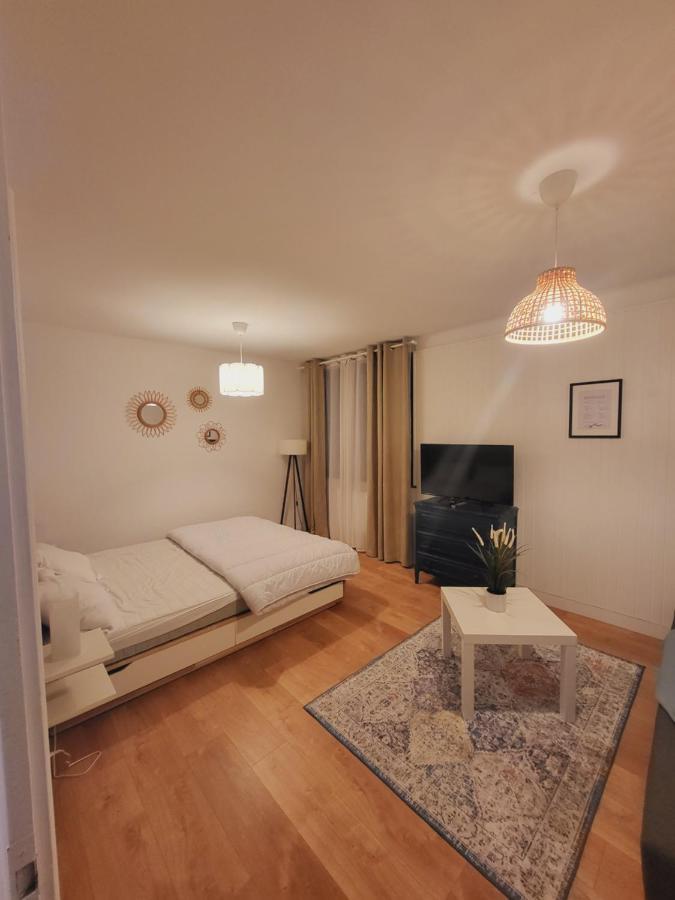 Appartement T1 Bis 35M2 Annecy Proche Centre Ville Luaran gambar